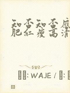 知否知否应是绿肥红瘦高清在线免费观看