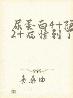 尿蛋白4+隐血2+病情到了什么地步