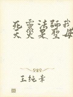 死灵法师我即是天灾是圣母