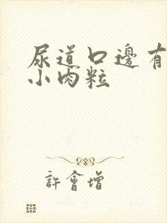 尿道口边有白色小肉粒