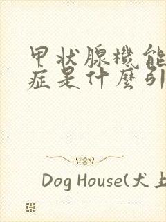 甲状腺机能减退症是什么引起的