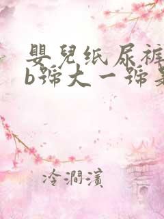 婴儿纸尿裤比nb号大一号是什么号?