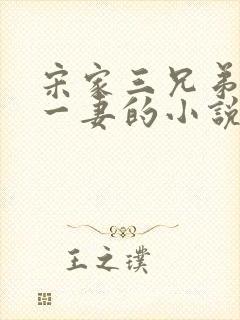 宋家三兄弟共娶一妻的小说