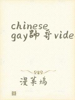 chinesegay帅哥videos
