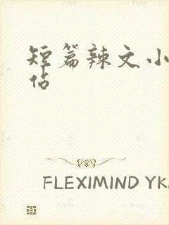 短篇辣文小说网站