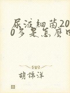 尿液细菌2000多是怎么回事