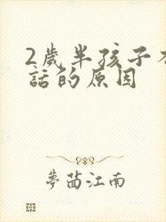 2岁半孩子不说话的原因