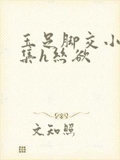 玉足脚交小说合集h丝欲