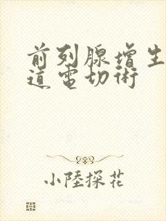 前列腺增生经尿道电切术