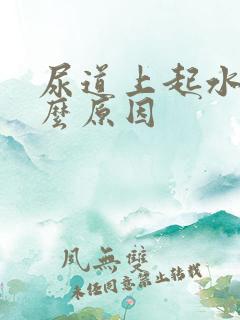 尿道上起水泡什么原因