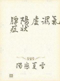 脾阳虚湿气重的症状