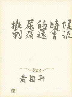 撒尿的时候尿道刺痛还会流浓