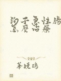 狗子急性肠胃炎怎么治疗