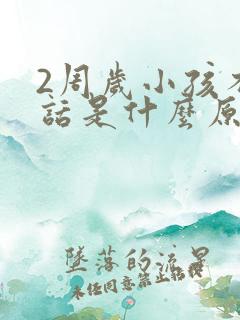 2周岁小孩不说话是什么原因