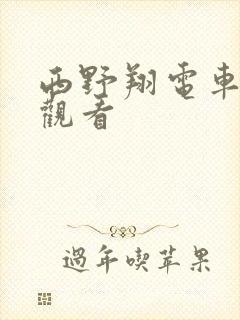 西野翔电车在线观看