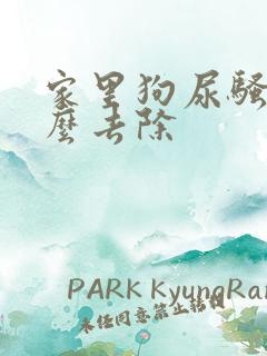 家里狗尿骚味怎么去除