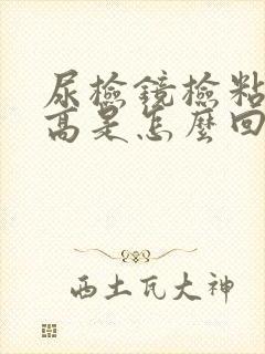 尿检镜检粘液丝高是怎么回事