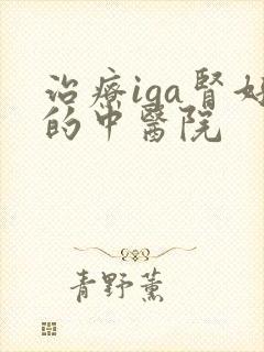 治疗iga肾好的中医院