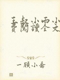 王叔小雨小说免费阅读全文
