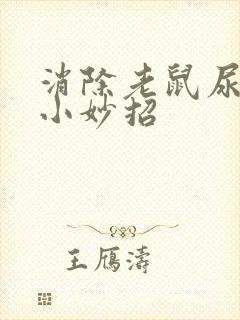 消除老鼠尿骚味小妙招