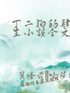 丁二狗的肆意人生小说全文阅读完整版