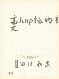 高hnp纯肉辣文