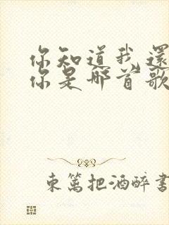 你知道我还爱着你是哪首歌