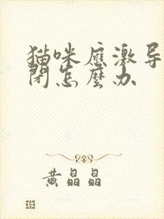 猫咪应激导致尿闭怎么办