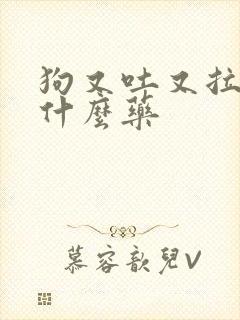 狗又吐又拉稀弄什么药