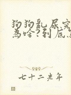 狗狗乱尿究竟是为啥?到底怎么办?