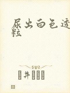 尿出白色透明颗粒