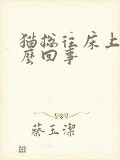 猫总往床上尿怎么回事