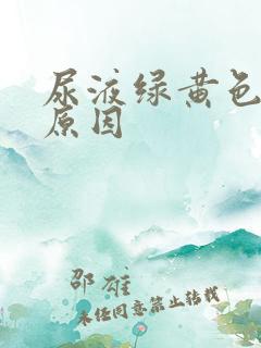 尿液绿黄色什么原因