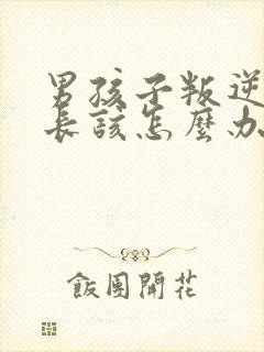 男孩子叛逆期家长该怎么办