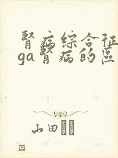 肾病综合征和iga肾病的区别