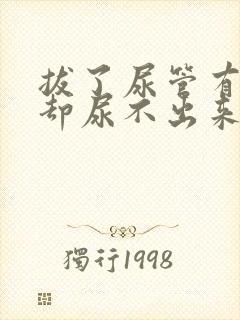 拔了尿管有尿意却尿不出来