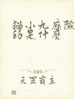 猫小九历险记讲的是什么