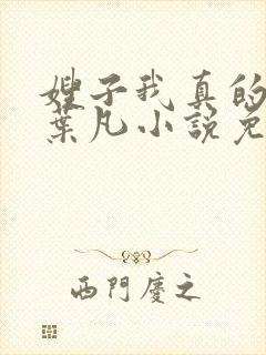 嫂子我真的不傻叶凡小说免费