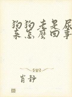 狗狗老是尿不出来怎么回事