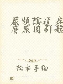 尿频阴道疼痛什么原因引起的