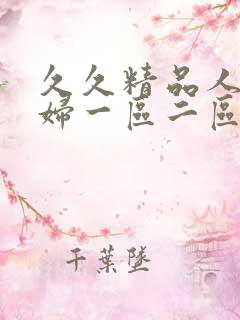 久久精品人妻少妇一区二区