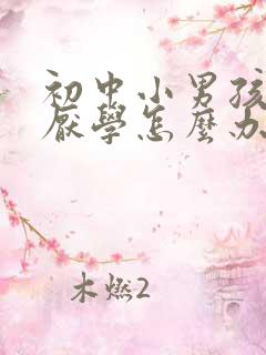 初中小男孩叛逆厌学怎么办