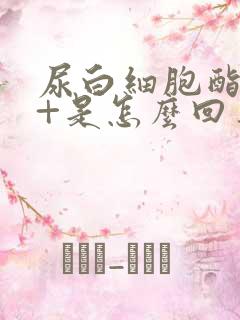 尿白细胞酯酶2+是怎么回事