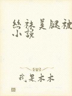 丝袜美腿被调教小说