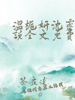 温栀妍沈霁寒小说全文免费