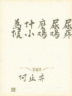 为什么尿尿的时候小鸡鸡疼