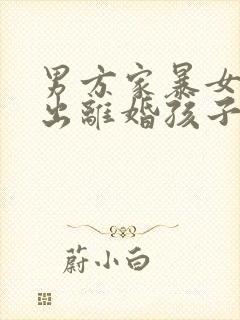 男方家暴女方提出离婚孩子归谁