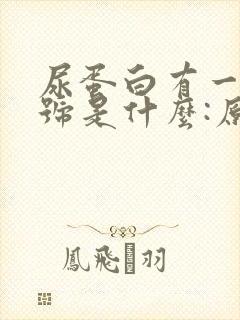 尿蛋白有一个加号是什么:原因