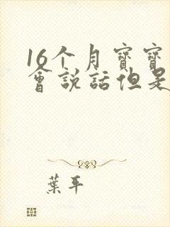 16个月宝宝不会说话但是听得懂