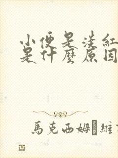 小便是淡红色的是什么原因引起的